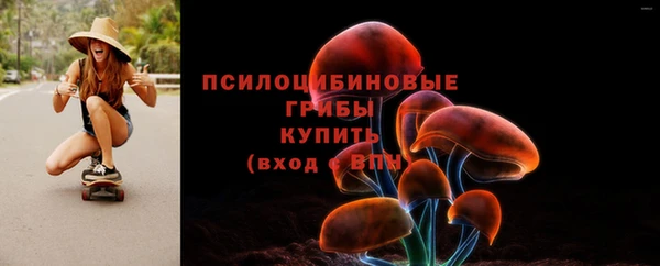 apvp Нязепетровск