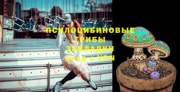 дурь Нягань