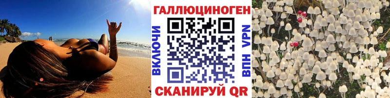 OMG онион Удомля Псилоцибиновые грибы GOLDEN TEACHER закладка