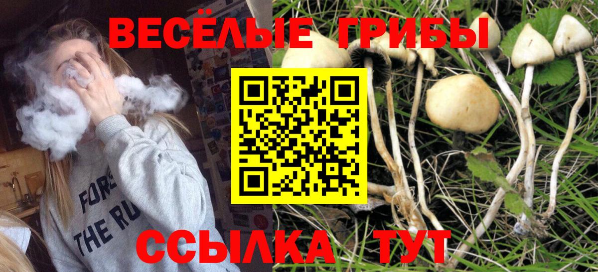 Галлюциногенные грибы ЛСД  Вход с VPN  Удомля 